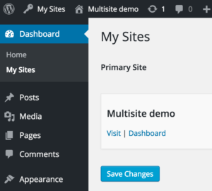 Once enabled WordPress Multisite with subdomains our dashboards shows the My Sites section
