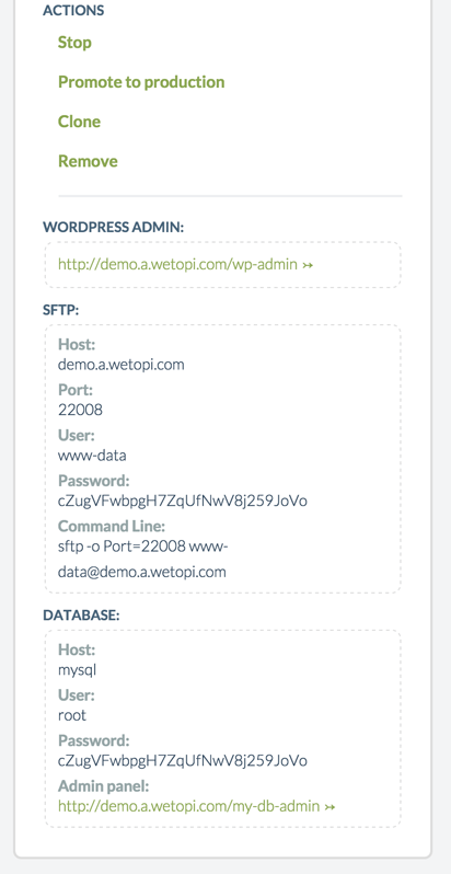 Wetopi options menu of a WordPress server with sftp credentials