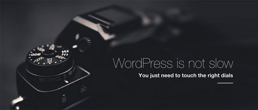 WordPress slow