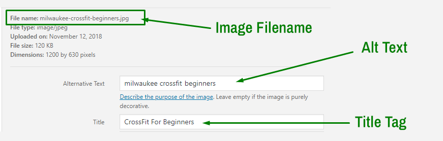 Image filename alt and title are SEO must haves
