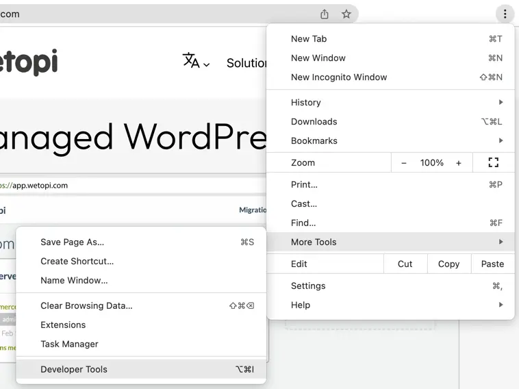 Access the Developer Tools from the three dot menu