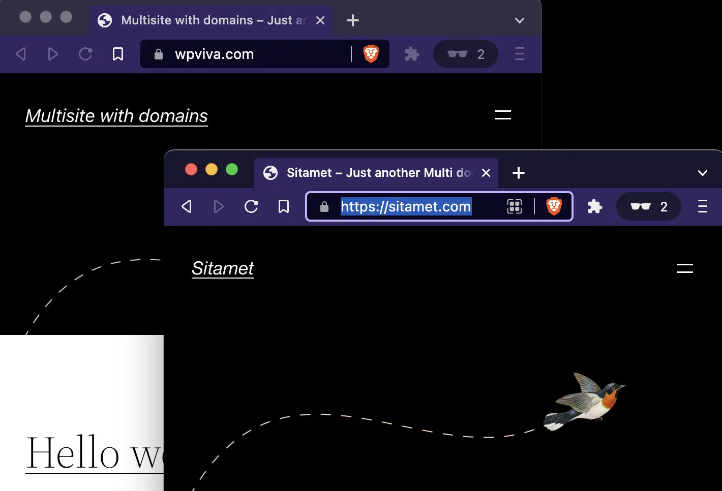 Two browsers showing WordPress Multisite managing different domains